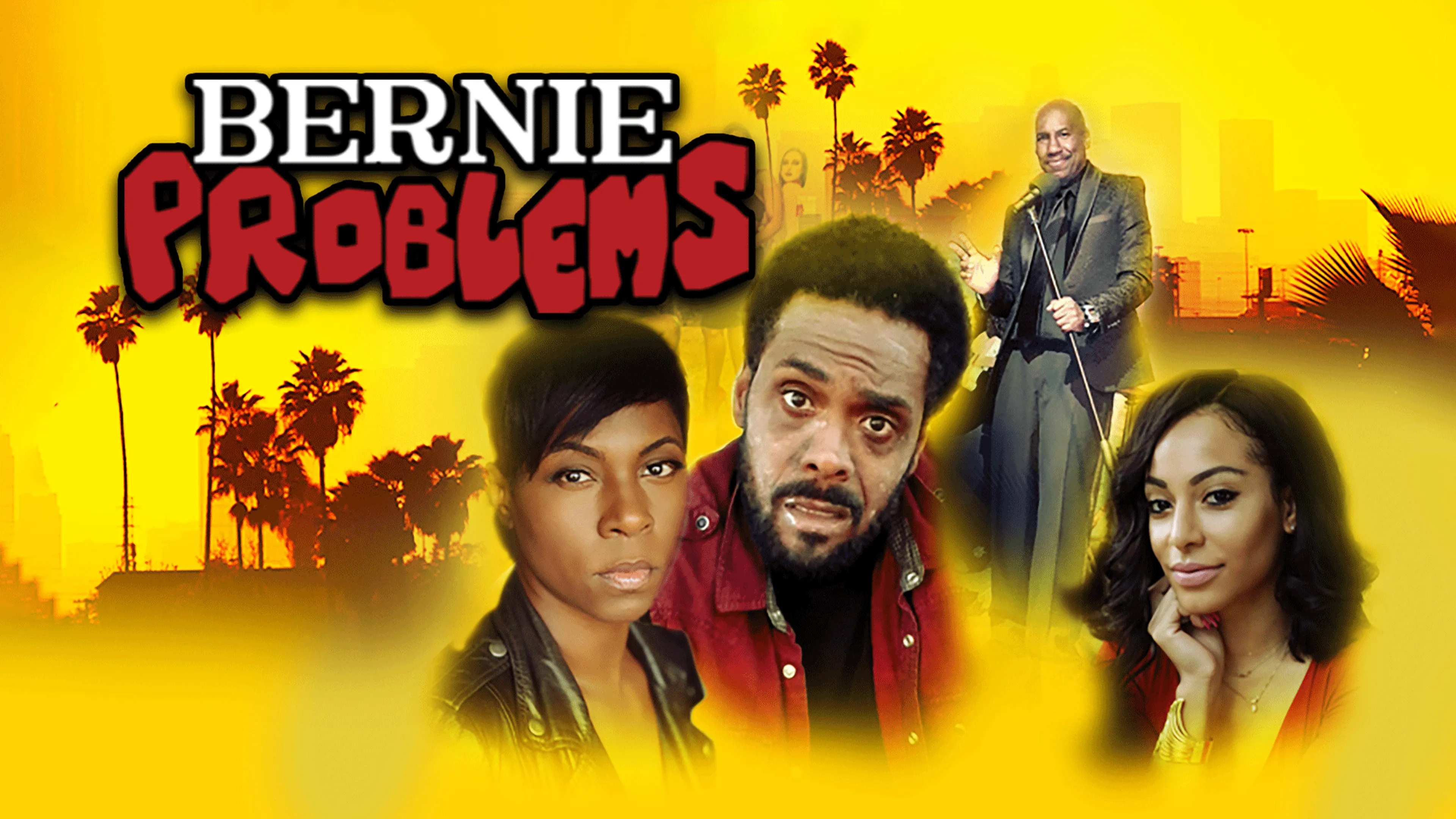 Bernie Problems poster
